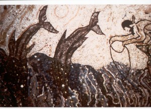 Copia di DELFINI 1
